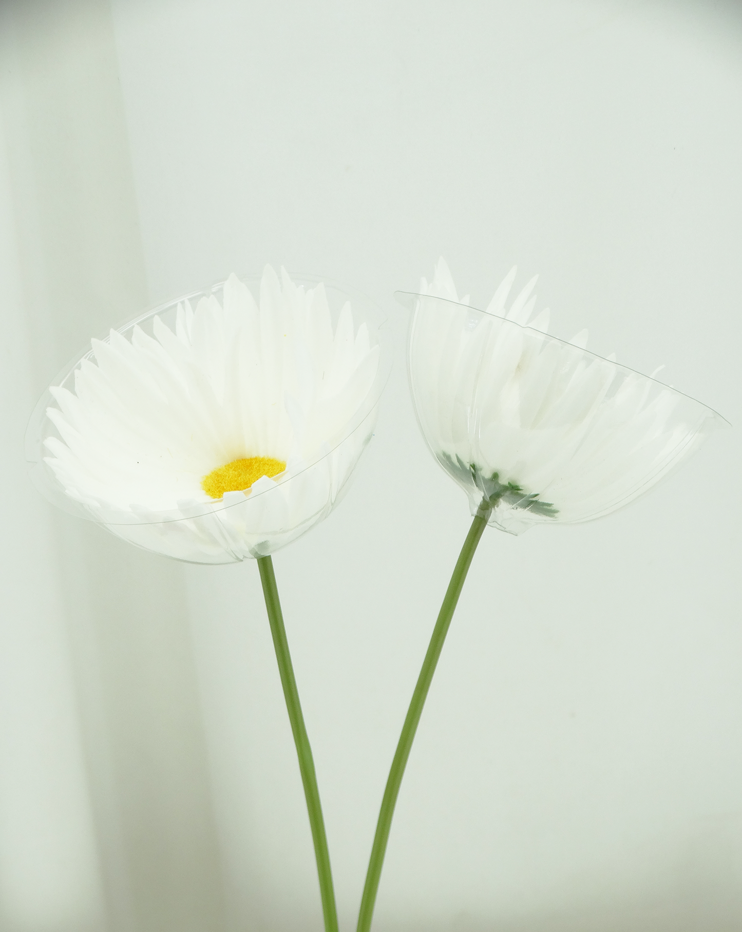 00415, 2 Artificial Daises - 12" (30cm)