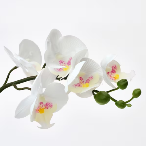 01187, 36" Artificial Orchid Flowers
