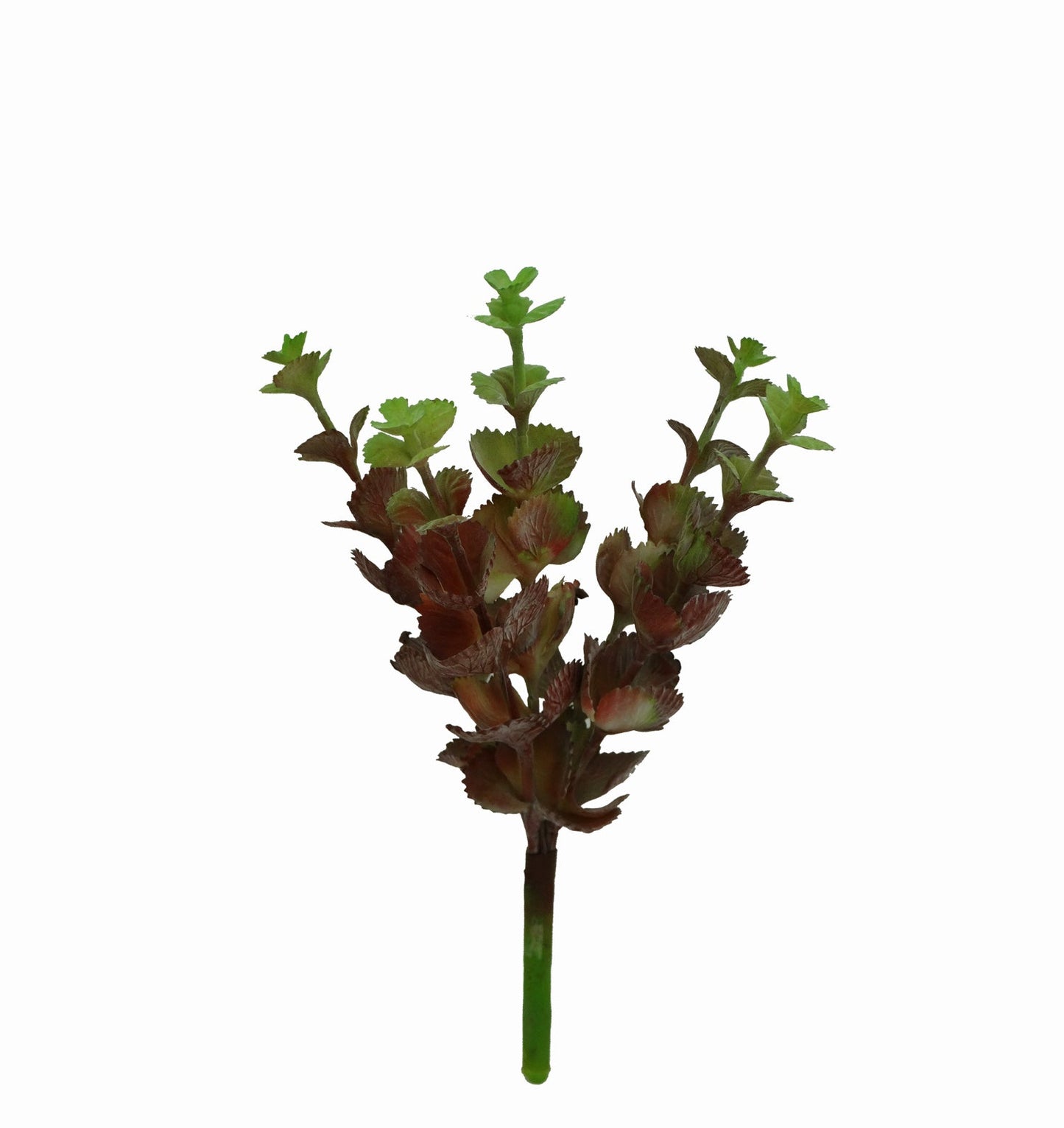 5502-1420 plant red