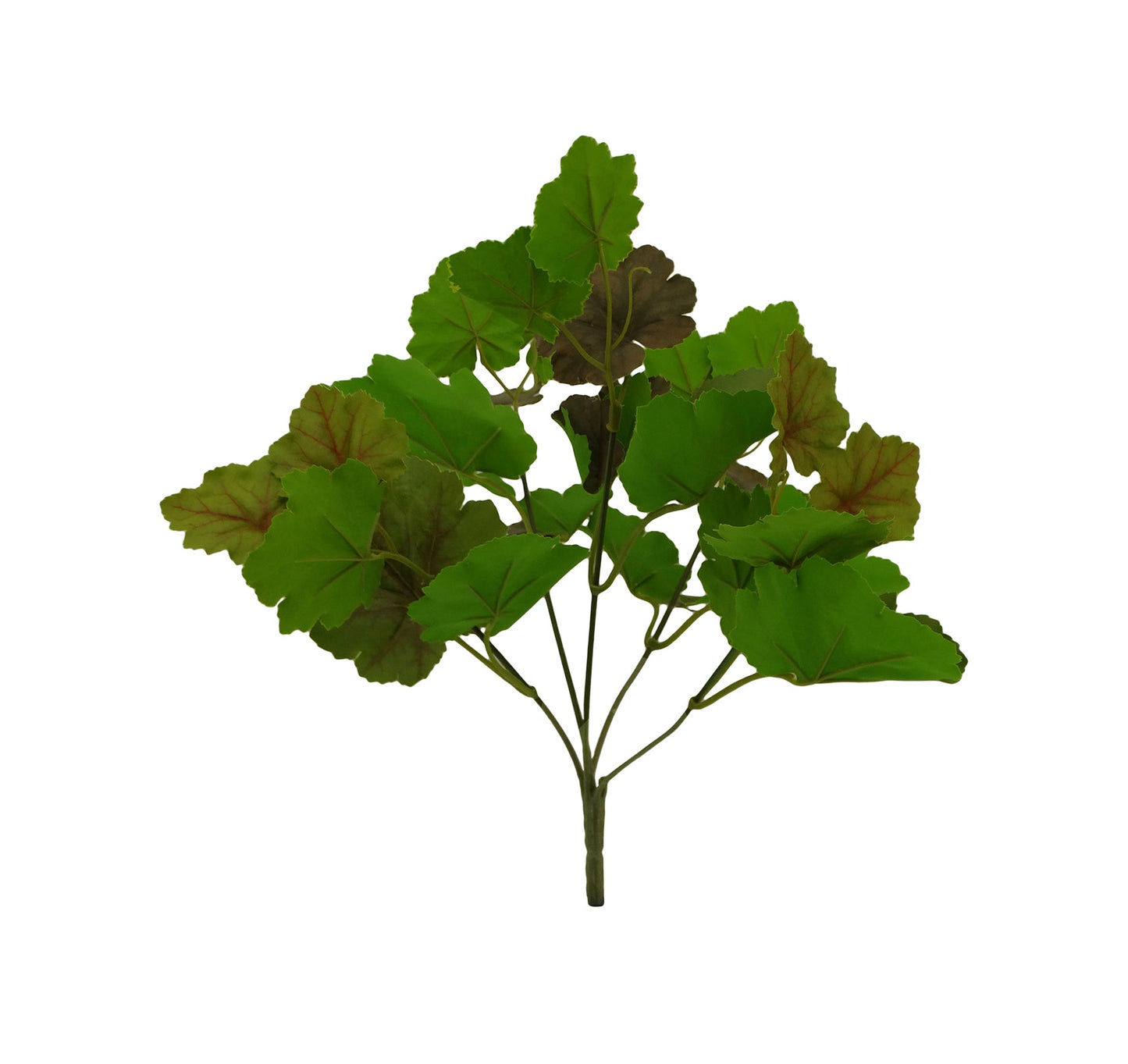 02706, Tongze, Artificial Crevice Alumroot Plant
