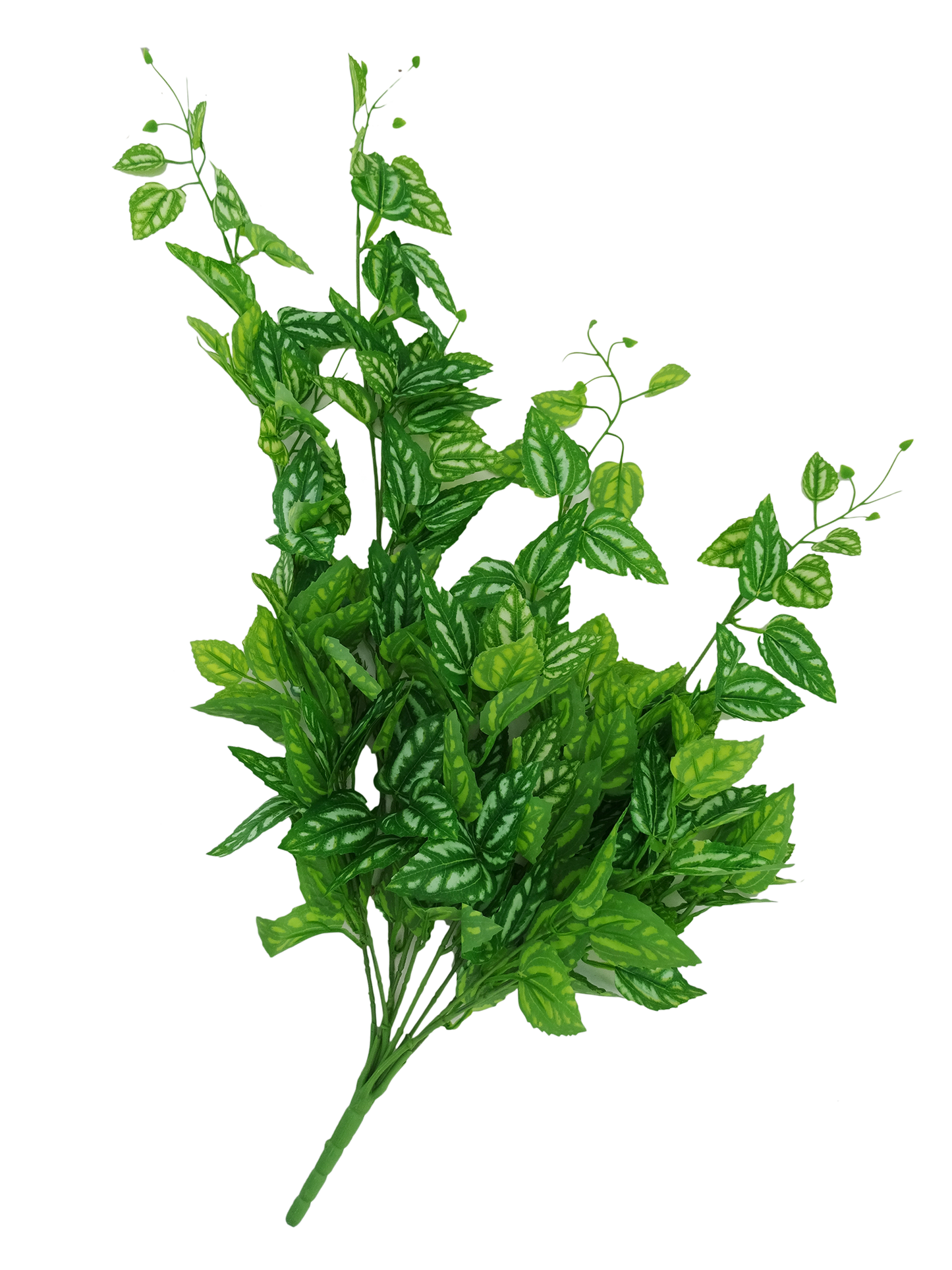 0118236, Artificial Plant