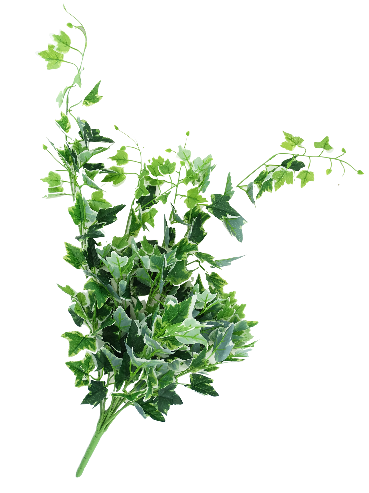 0118238, Artificial Plant