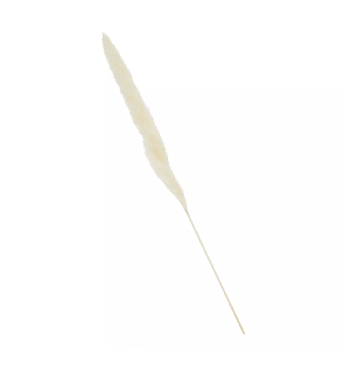 24201, Artificial Pampas Grass
