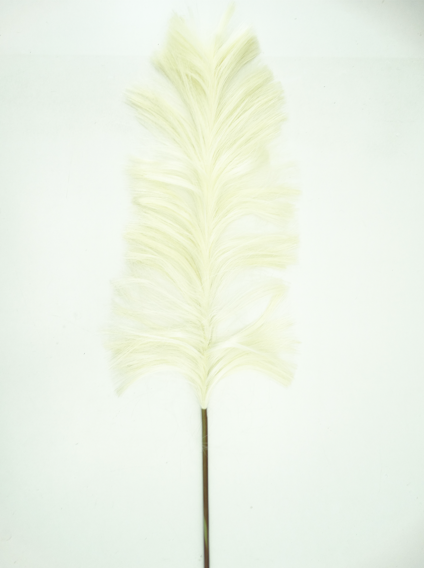 24202, 5ft Artificial Pampas Grass - Assorted