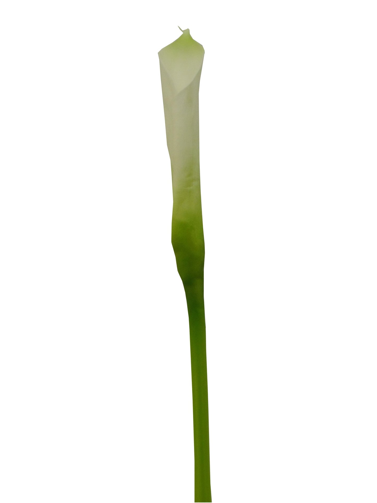 B326714, Bao Artificial Calla Lilly - 25"