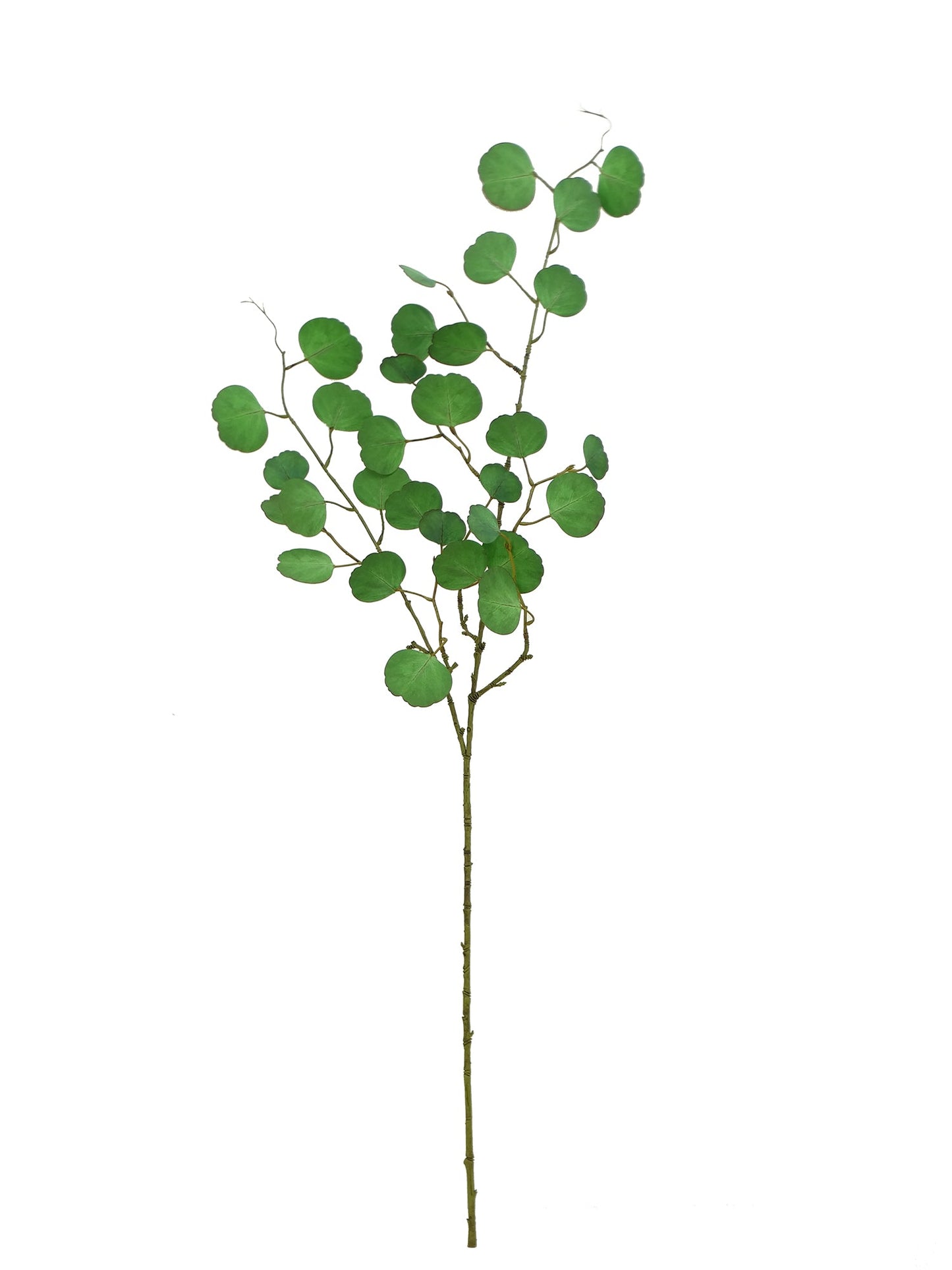 5502-7170, Artificial Tree Branches With Leaves